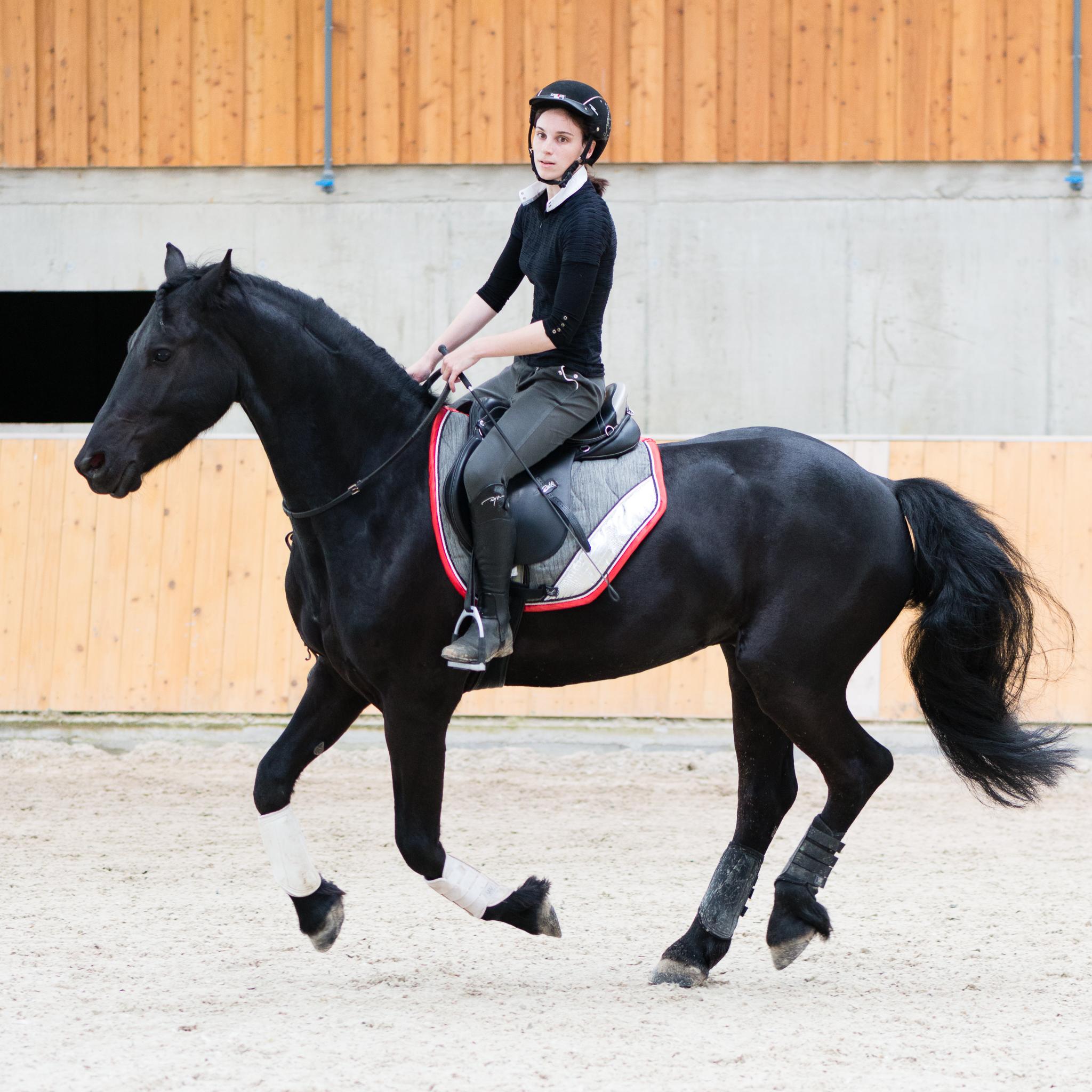 Monter son cheval avec la cordelette, comment s’y préparer?