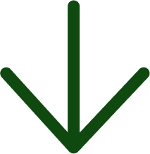 logiciel gestion écuries