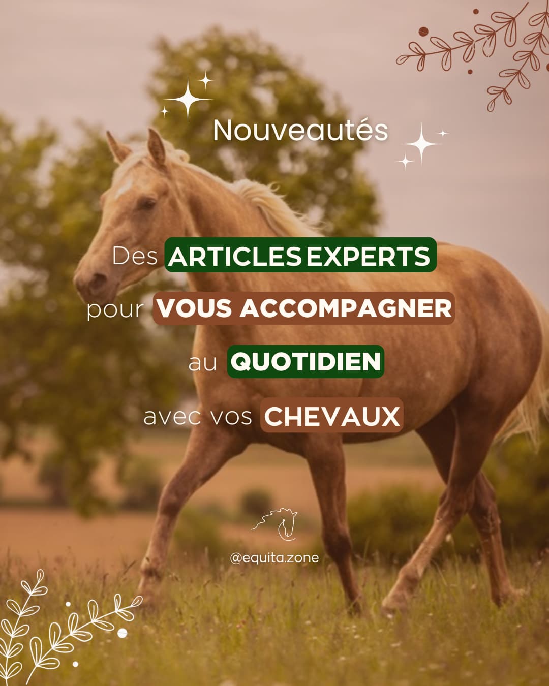 Articles experts pour le quotidien de vos chevaux