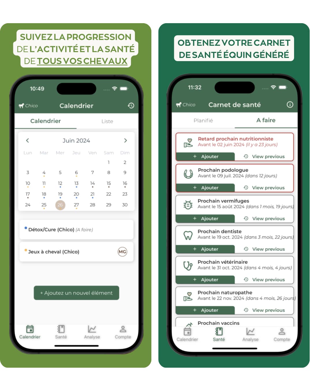 carnet de santé suivi chevaux simple