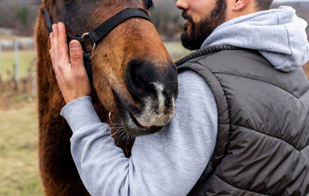 Probiotiques pour Chevaux : Bienfaits, Quand et Comment les Administrer