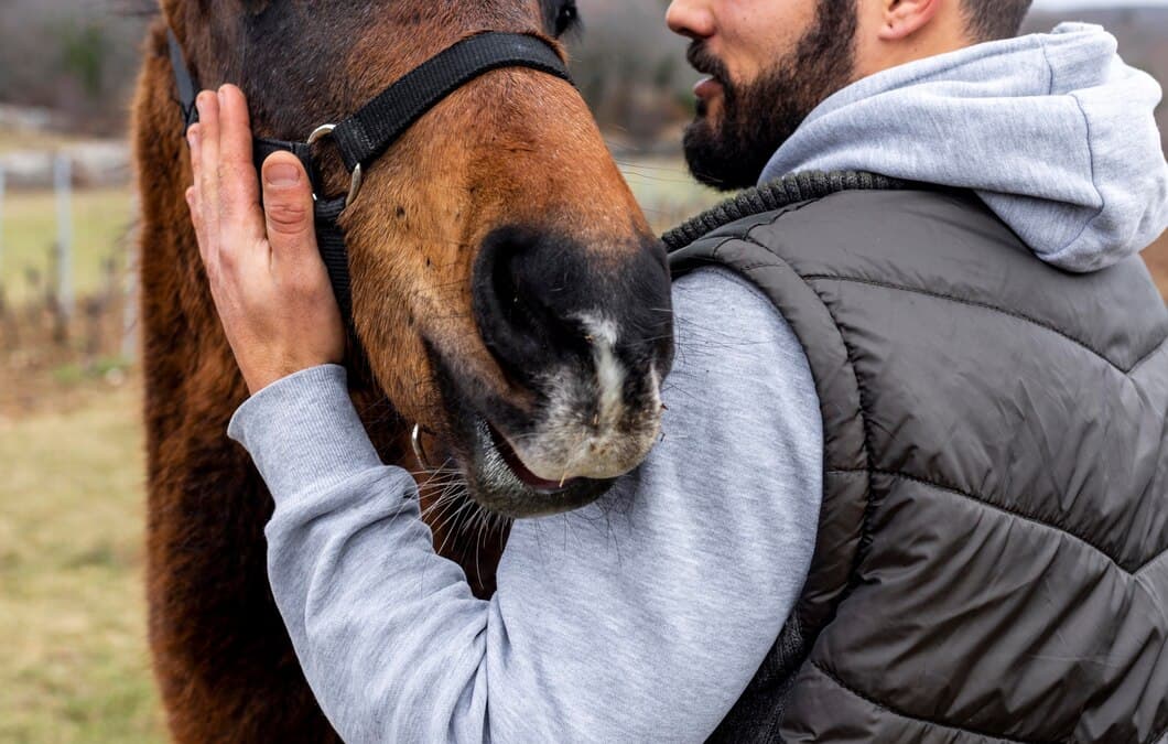 Probiotiques pour chevaux : pourquoi et quand les utiliser ?
