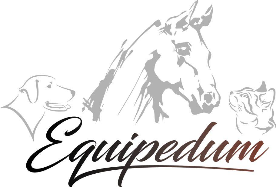soins holistiques chevaux equipedum equitazone