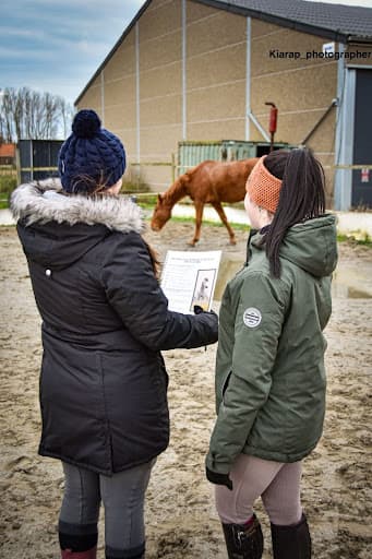 observer cheval maladies symptômes ulcères
