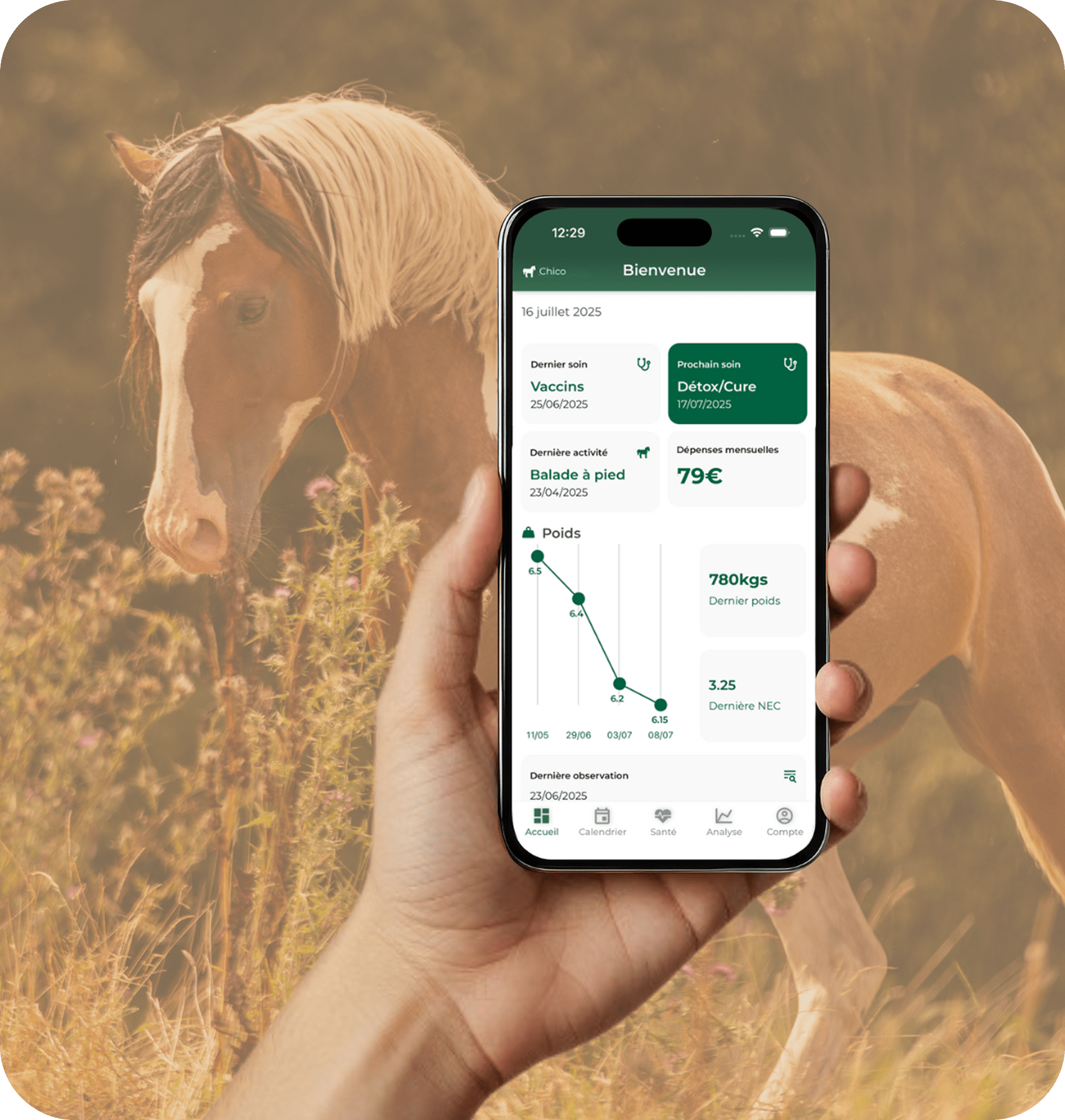 application cheval équitation propriétaires gestion
