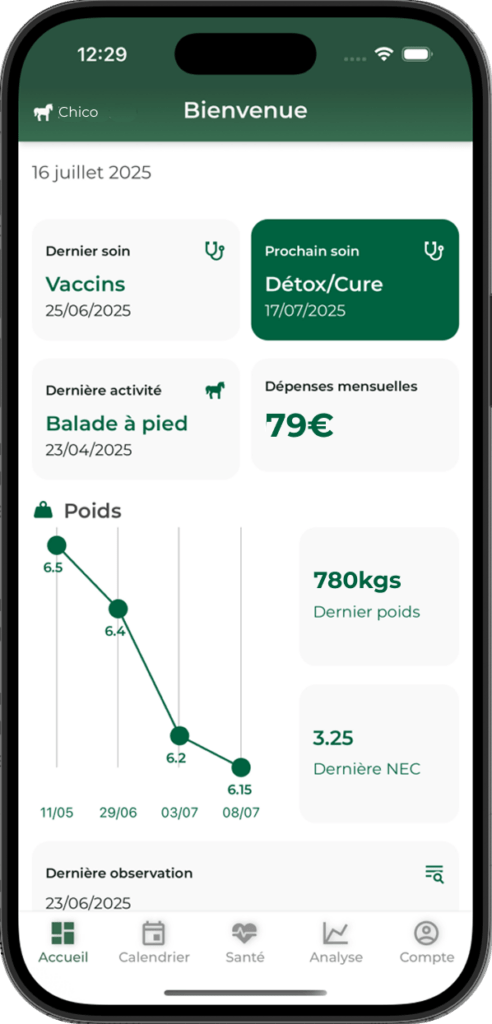 dashboard equitazone suivi santé entraînements chevaux précis et gratuit