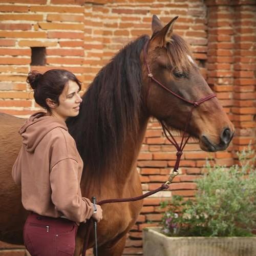 logiciel ecuries de proprietaires