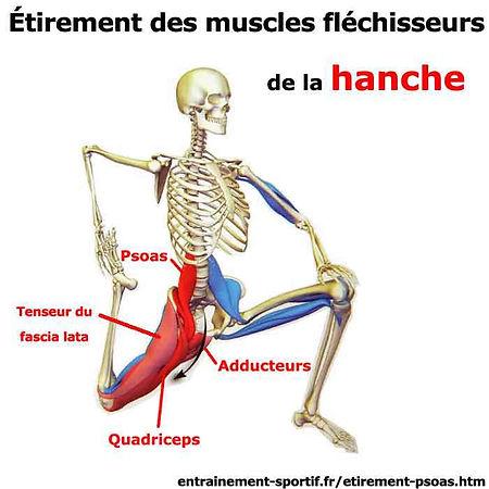 étirements cavaliers mal au dos