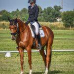 soulager mal de dos cavaliers