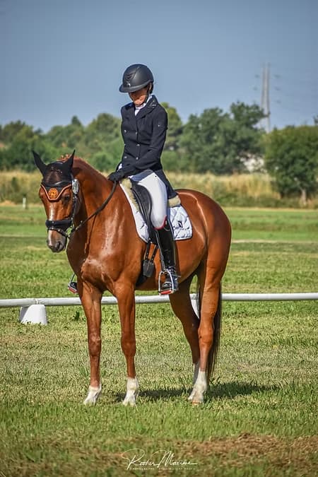 Le mal de dos chez le cavalier, comment le soulager ?