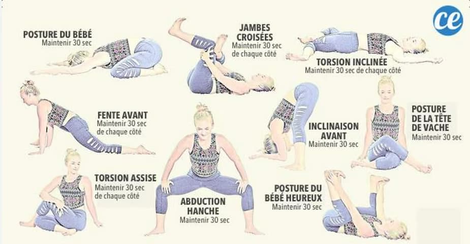 étirements hanche cavaliers équitation chevaux